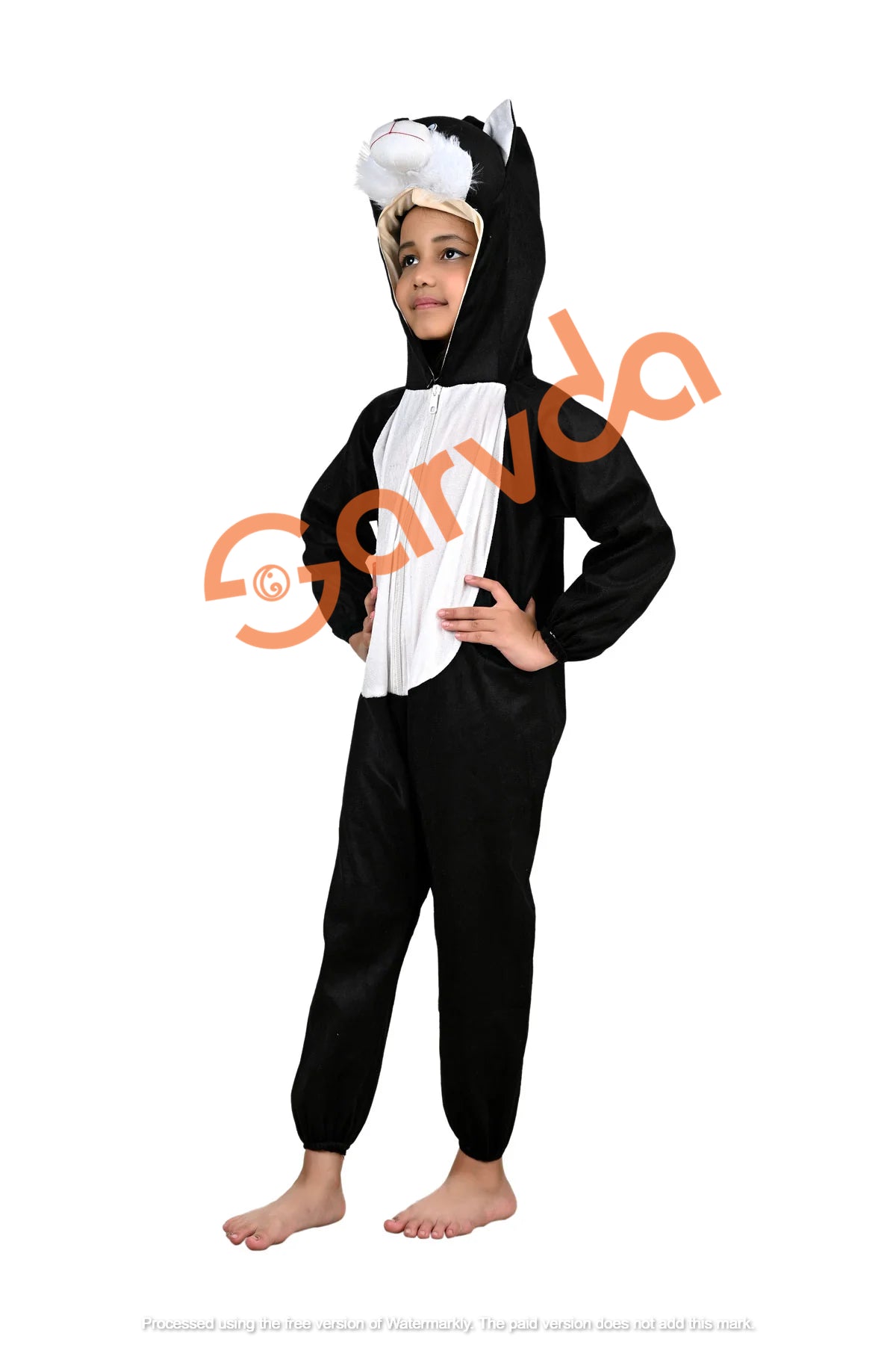 Cat Costume