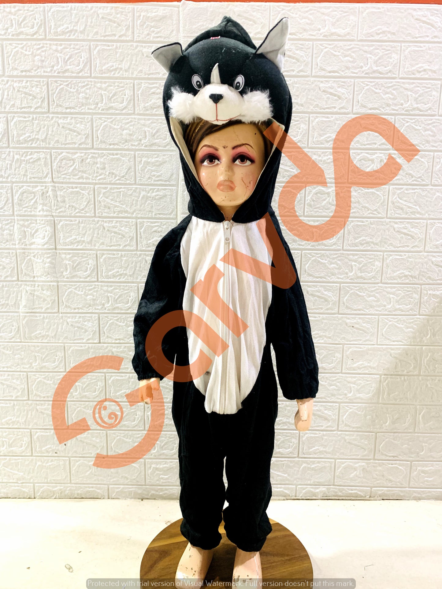 Cat Costume