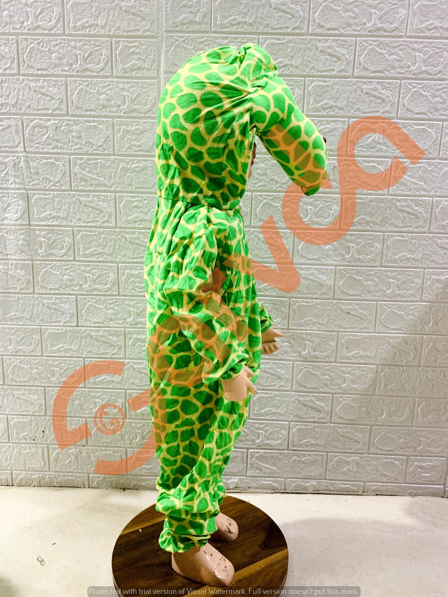 Tortoise Animal Costume