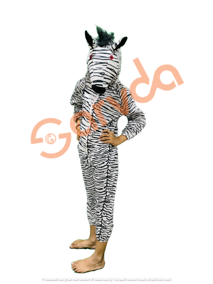 Zebra Animal Costume