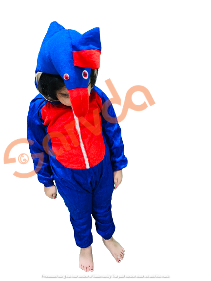 Peacock Costume