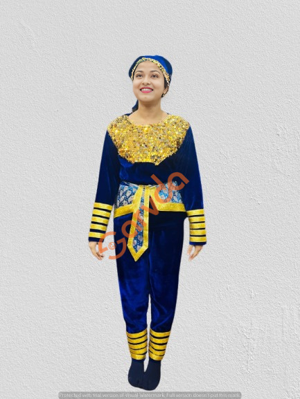 Peacock-Inspired Traditional Dance Costume – Royal Blue & Golden Sequence