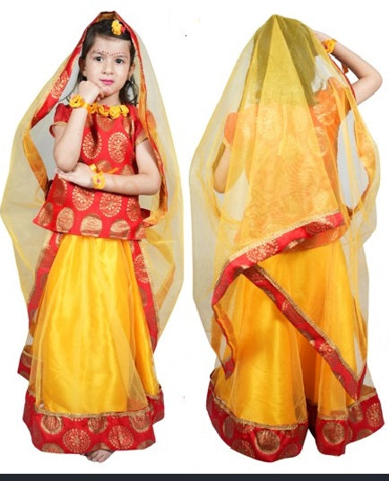 (In-Queue / High Demand ) Sarvda Radha Lahenga - Light Fabric