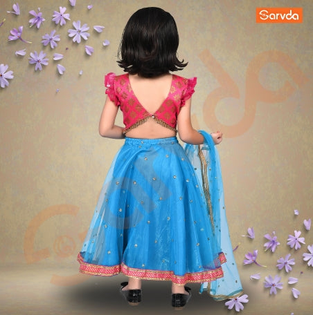 Prebooking Firozi Net Lahenga And Pink Choli