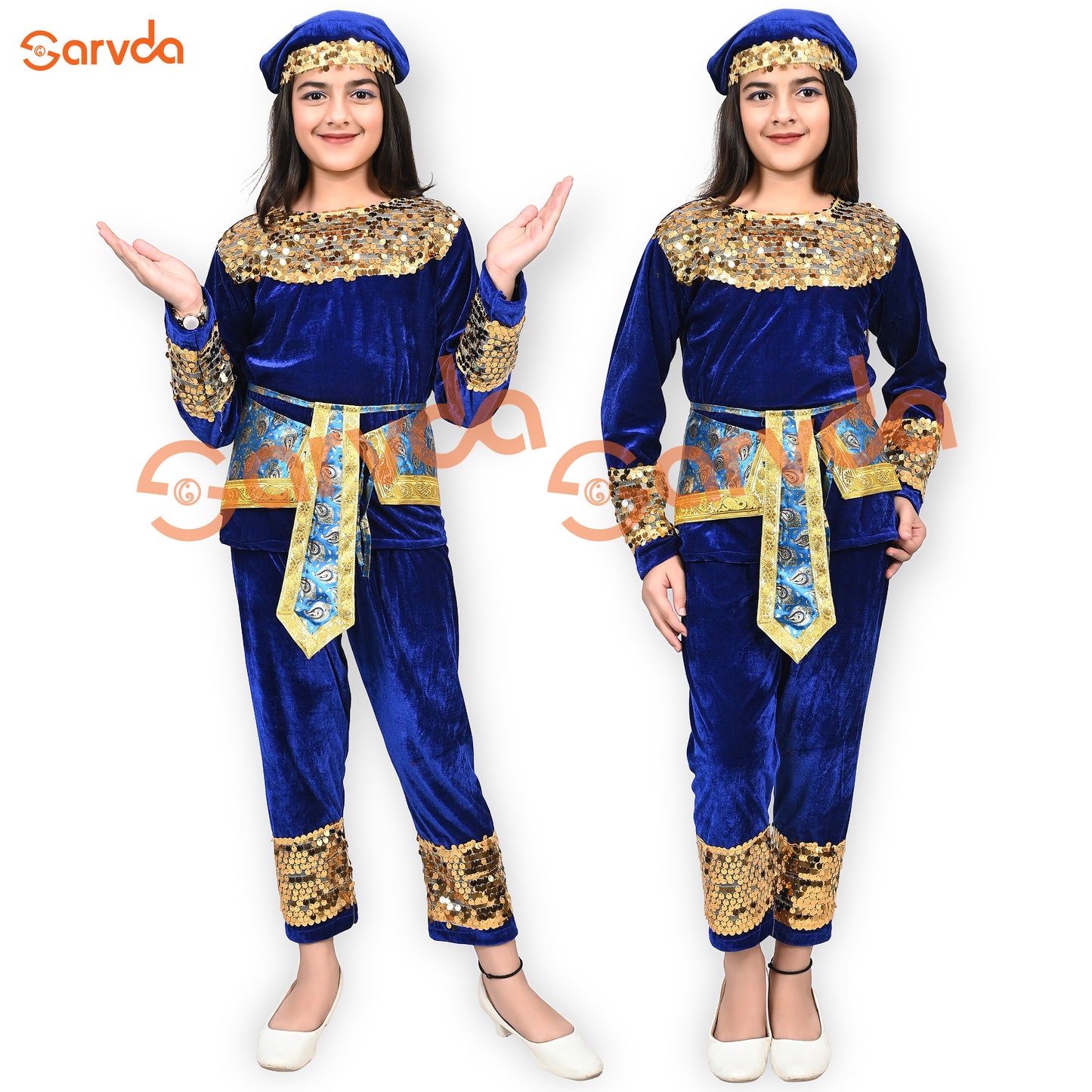 Peacock-Inspired Traditional Dance Costume – Royal Blue & Golden Sequence
