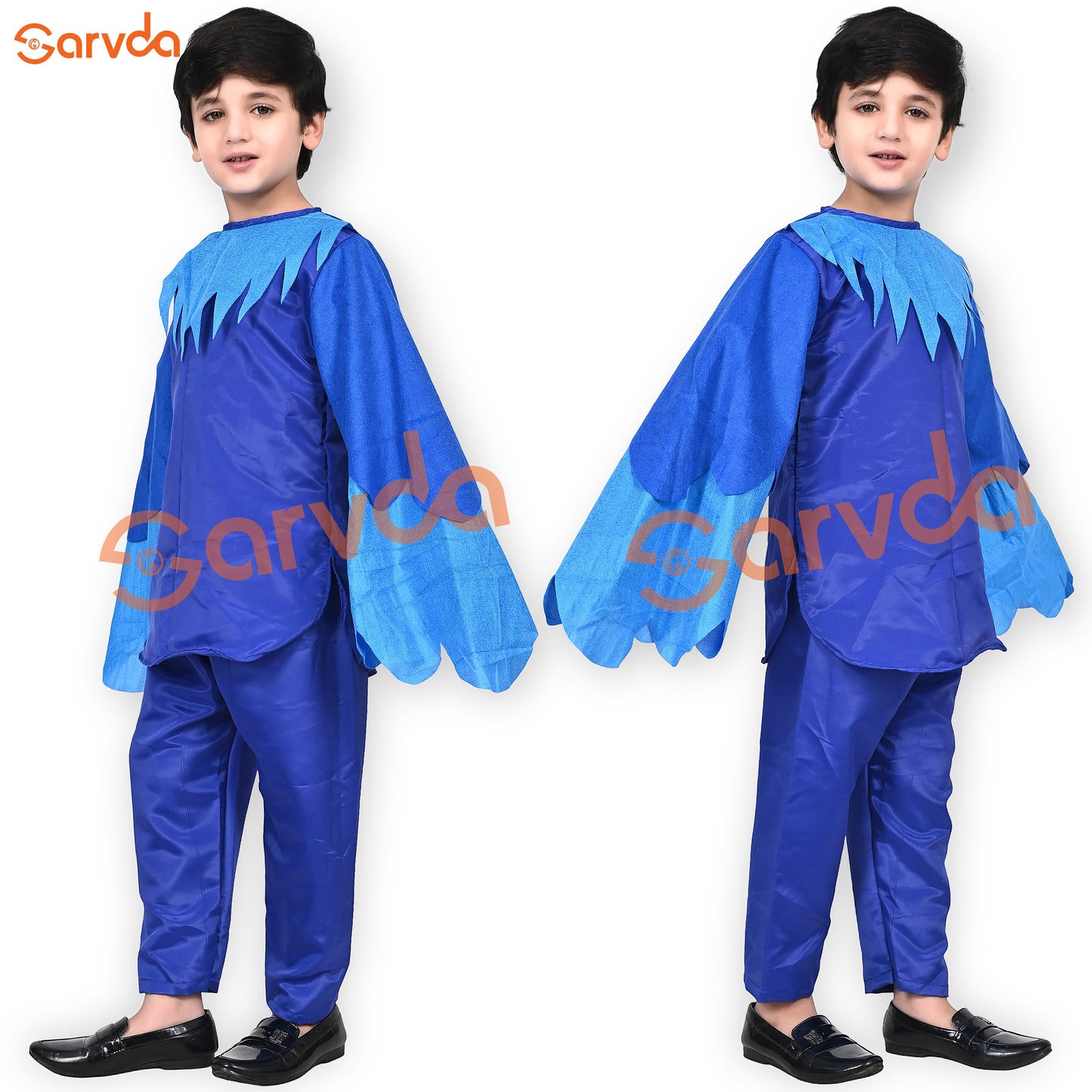 Peacock dress For Boys