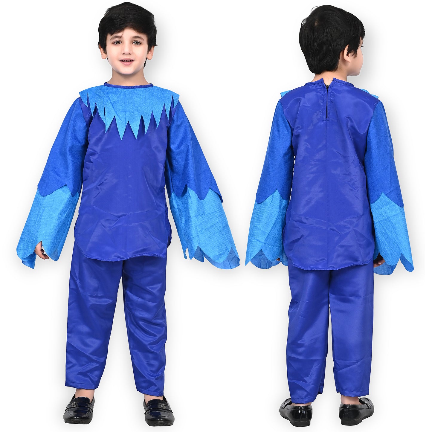 Peacock dress For Boys
