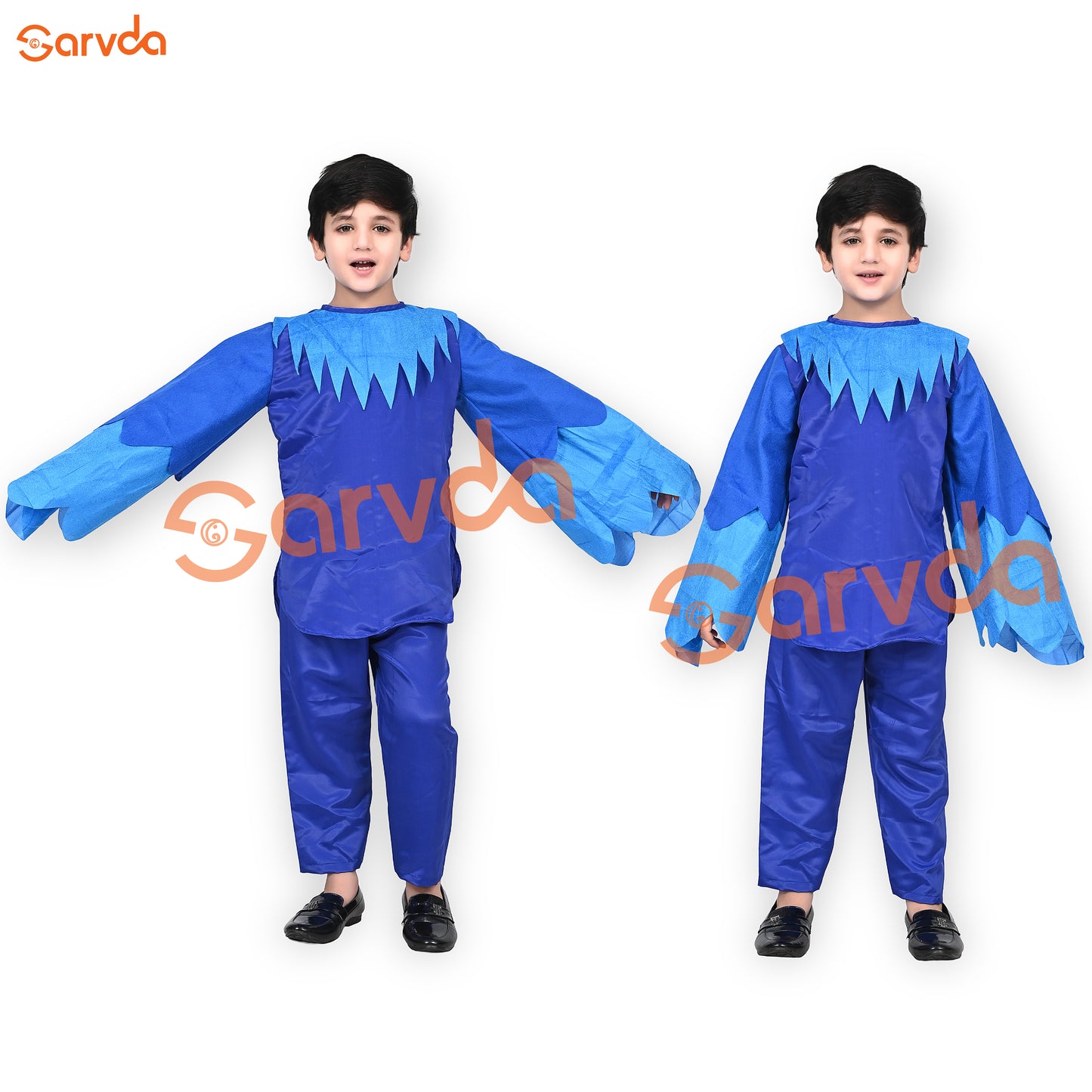 Peacock dress For Boys