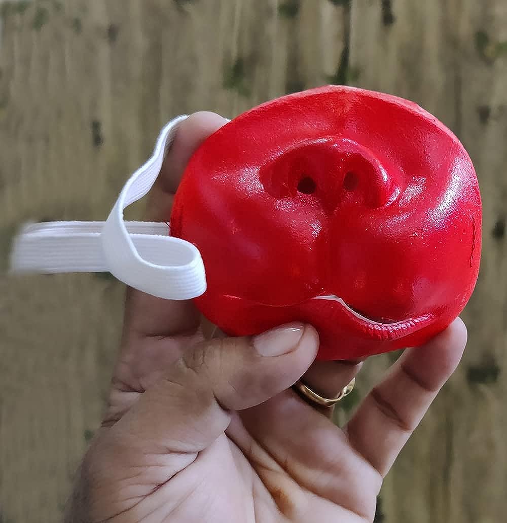 Hanuman ji Nose-jippi