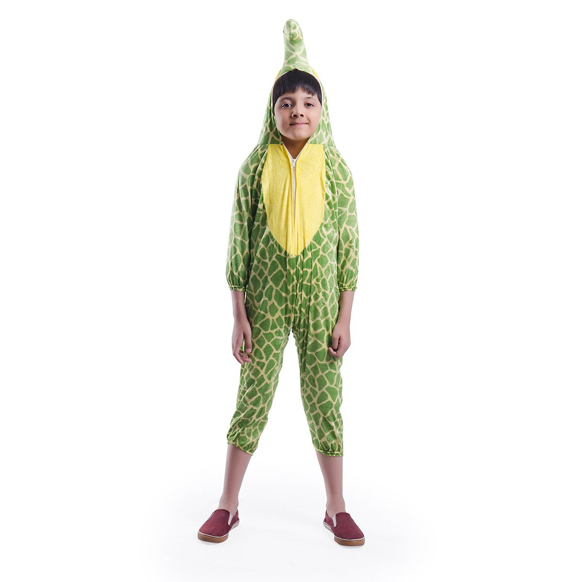 Tortoise Animal Costume