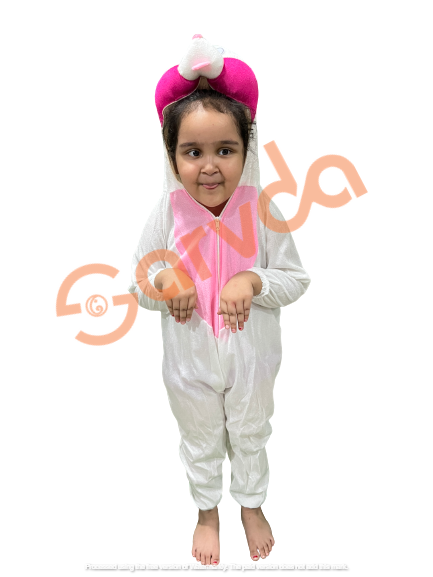 Rabbit Costume