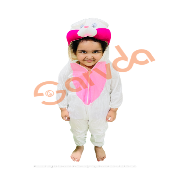 Rabbit Costume