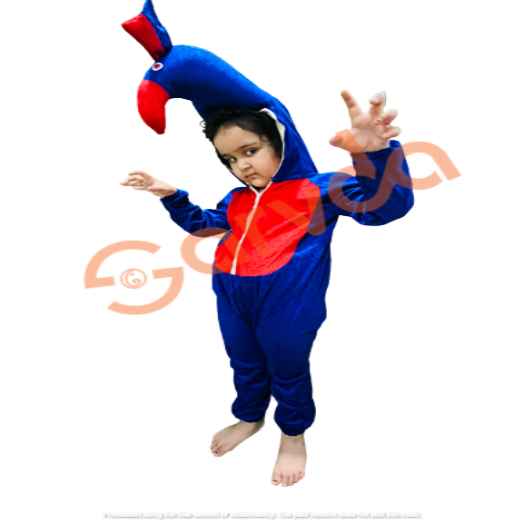 Peacock Costume