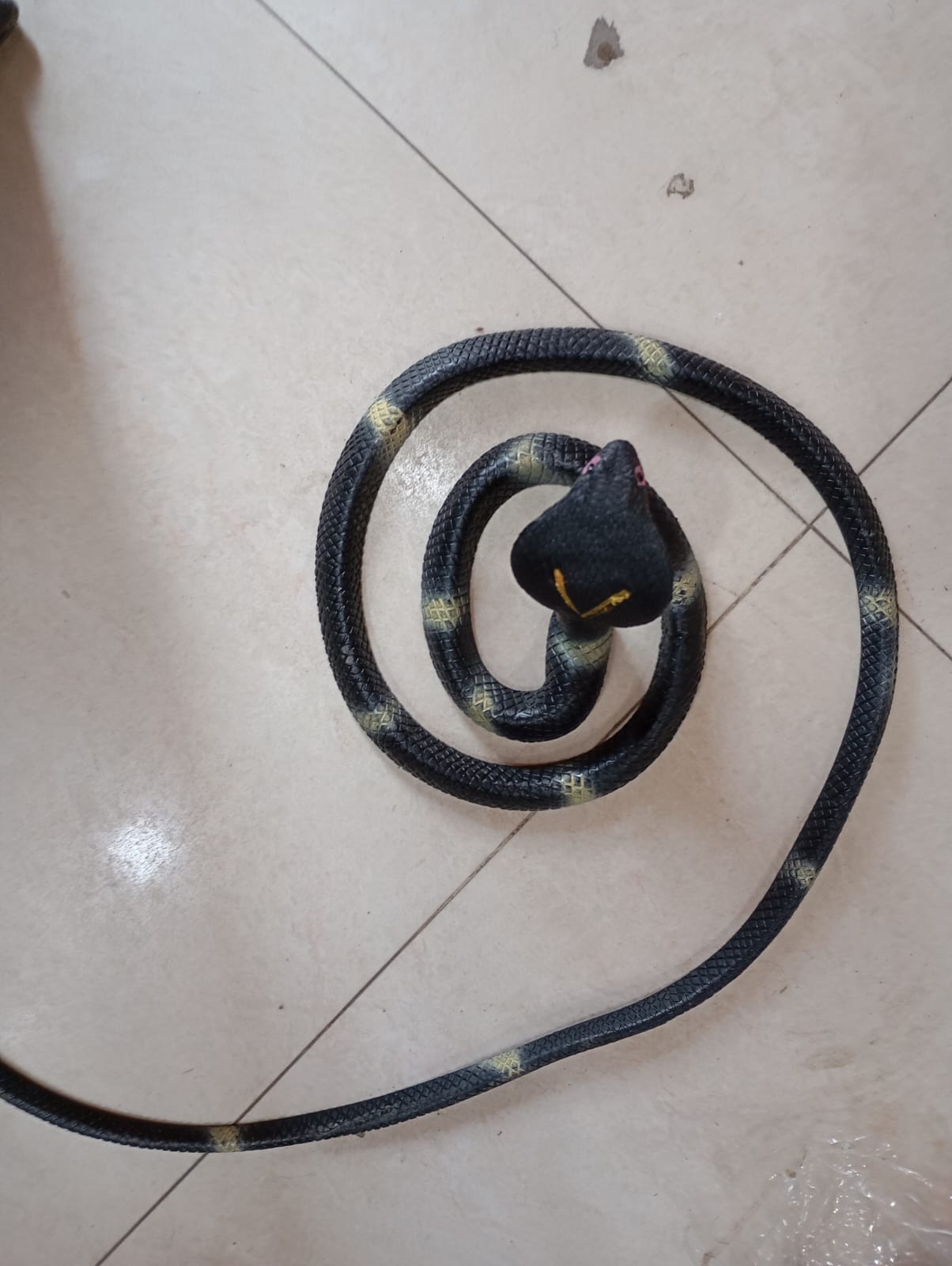 Snake