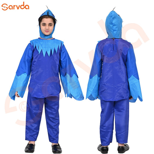 Peacock dress For Boys